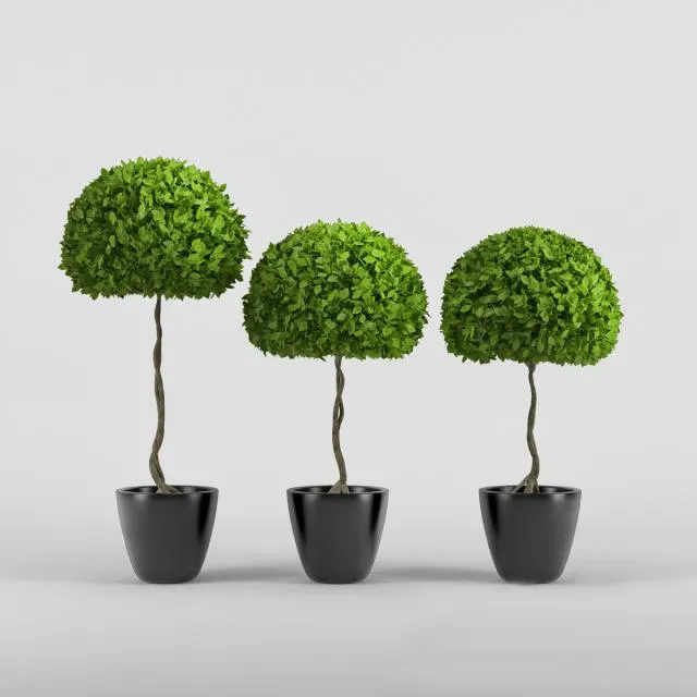 decoration – Three plants 3D Model decoration – Three plants 3D Model