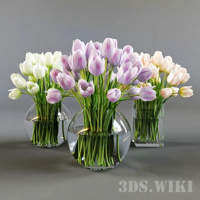 decoration – Three vases with tulips 3D Model