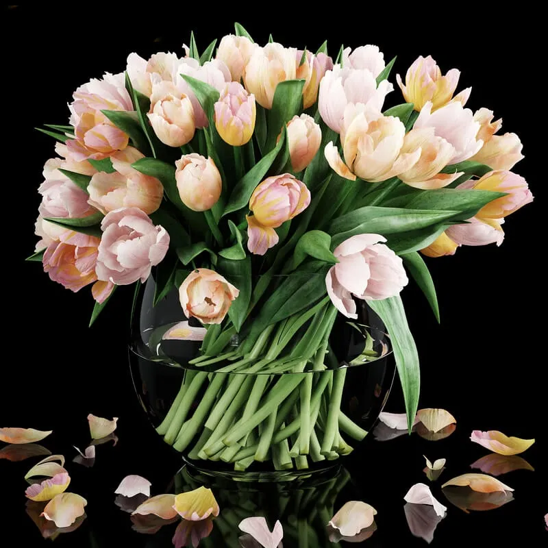 decoration – Tulips 16 colors 3D Model decoration – Tulips 16 colors 3D Model