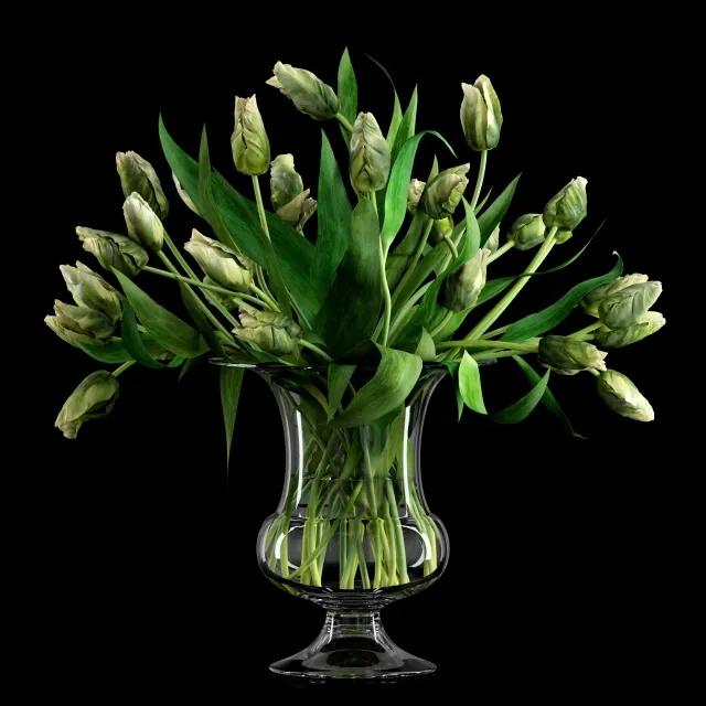 decoration – Tulips 3D Model