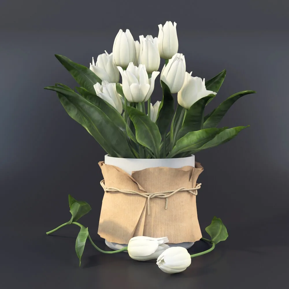 decoration – Tulips 49 3D Model decoration – Tulips 49 3D Model