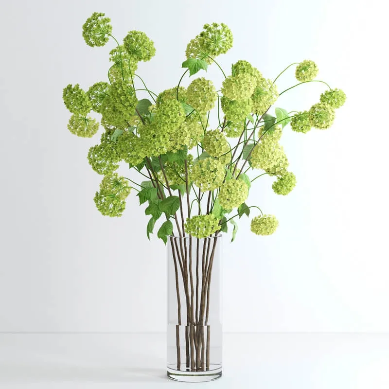 decoration – Viburnum 3D Model decoration – Viburnum 3D Model