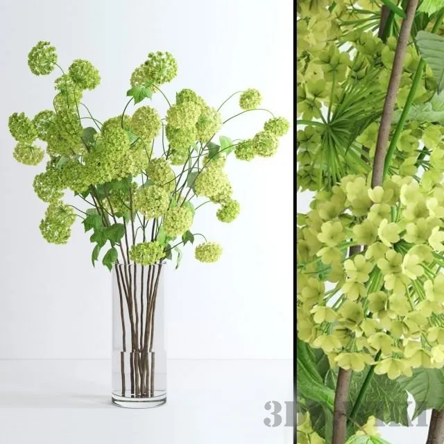 decoration – Viburnum branches 3D Model decoration – Viburnum branches 3D Model