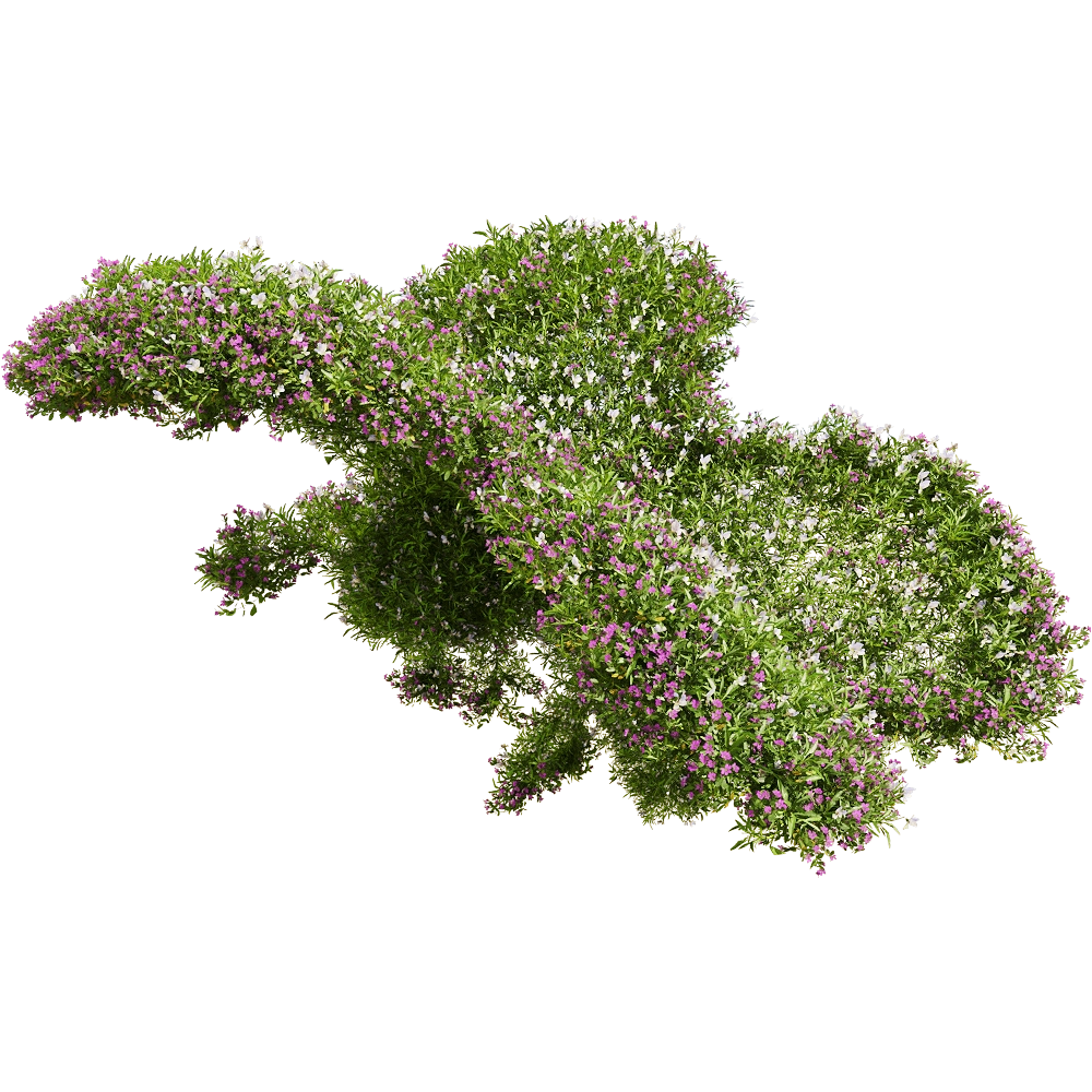 decoration – Viola tricolor 10 3D Model decoration – Viola tricolor 10 3D Model