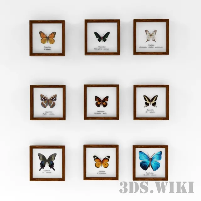 decoration – Wall pictures with butterflies 3D Model