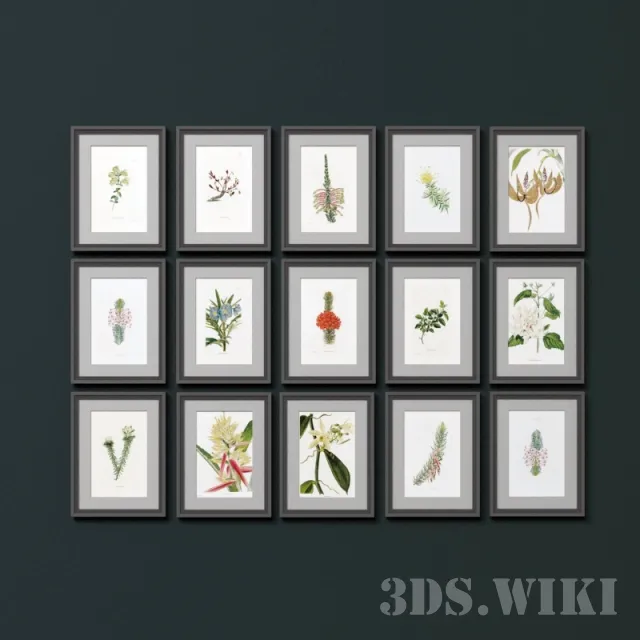 decoration – Wall posters “botany” 3D Model