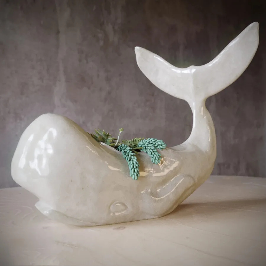 decoration – Whale succulent 3D Model decoration – Whale succulent 3D Model