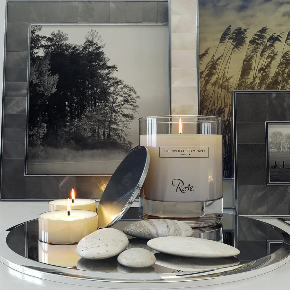 decoration – White Company 3D Model