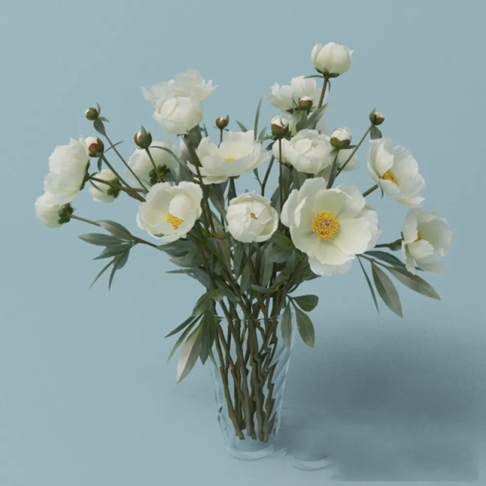 decoration – White peonies 3D Model