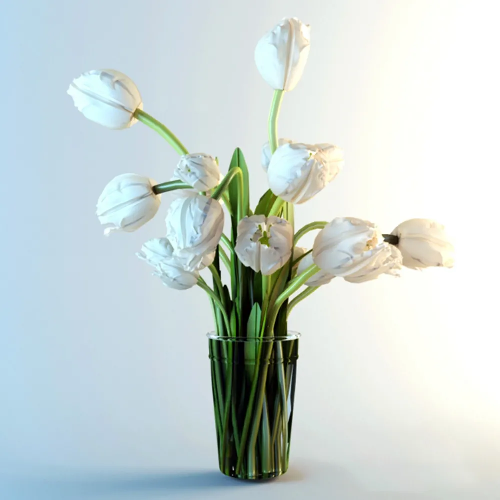 decoration – White tulips 3D Model