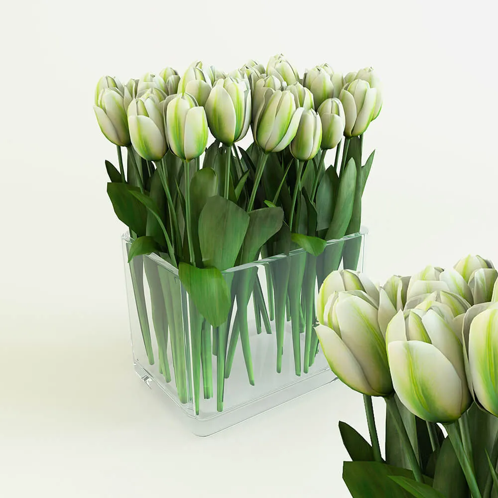 decoration – White tulips in a rectangular vase 3D Model