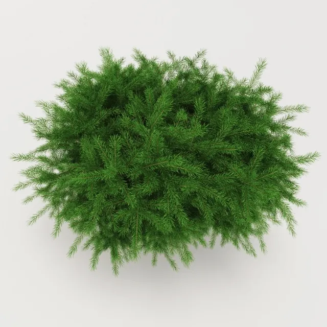 decoration – Whitewood Nidiformis 3D Model decoration – Whitewood Nidiformis 3D Model