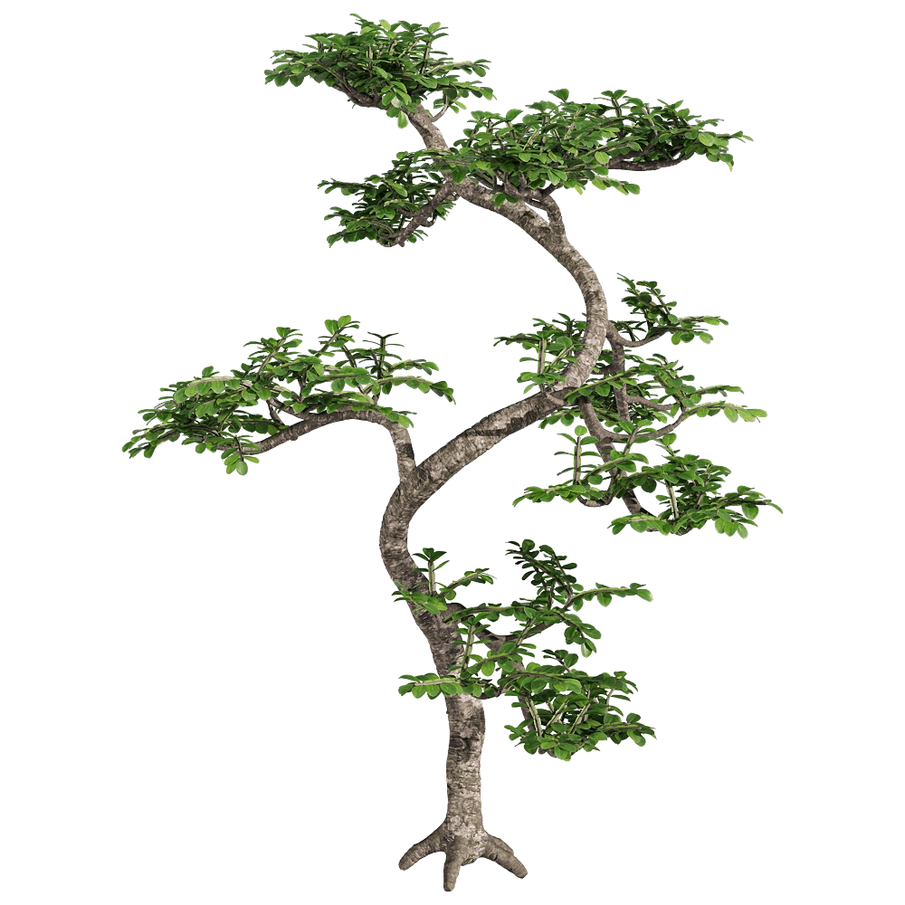 decoration – Zanthoxylum piperitum 4 3D Model decoration – Zanthoxylum piperitum 4 3D Model