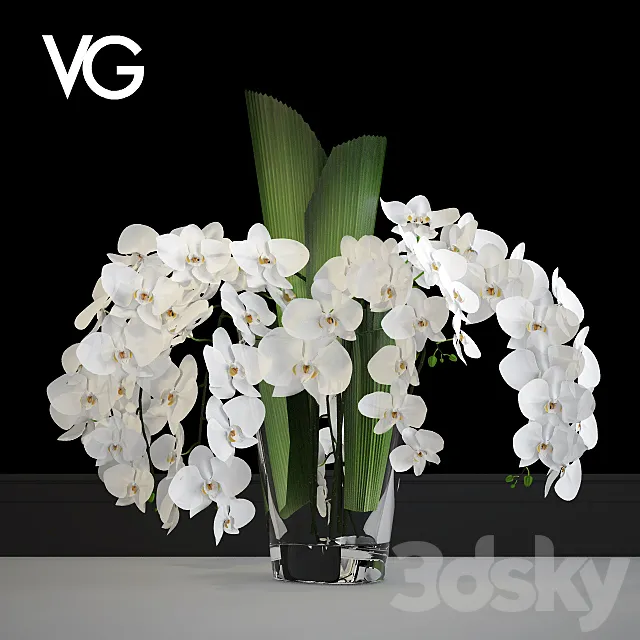 Decorative arrangement of orchids VG 3D Model Decorative arrangement of orchids VG 3D Model