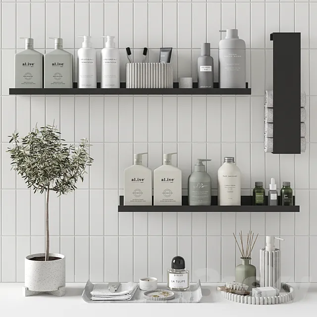 Decorative bathroom set Natural 3D Model