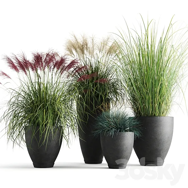 Decorative cereals in pots 3D Model Decorative cereals in pots 3D Model