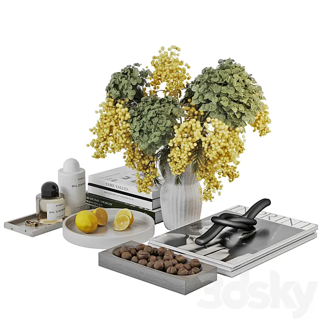 Decorative coffee table set 3D Model