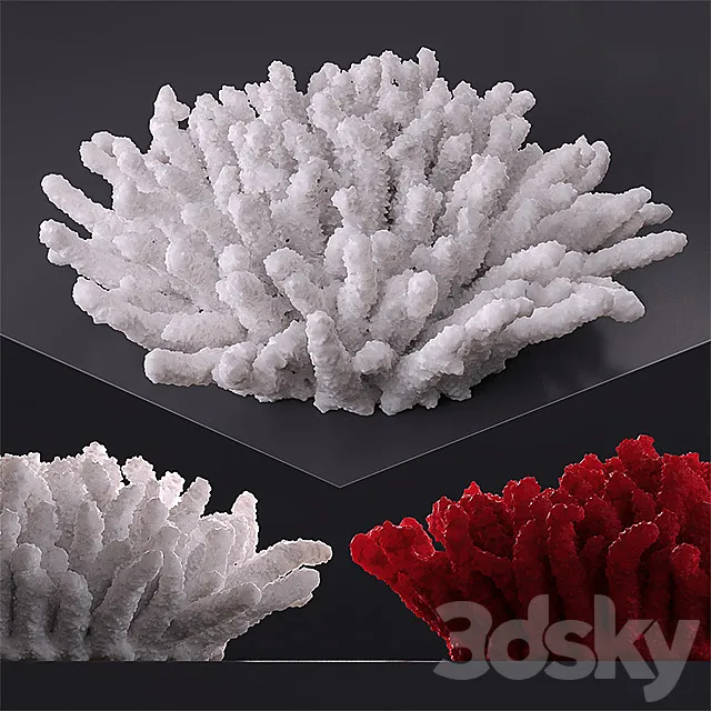 Decorative coral 3D Model Decorative coral 3D Model