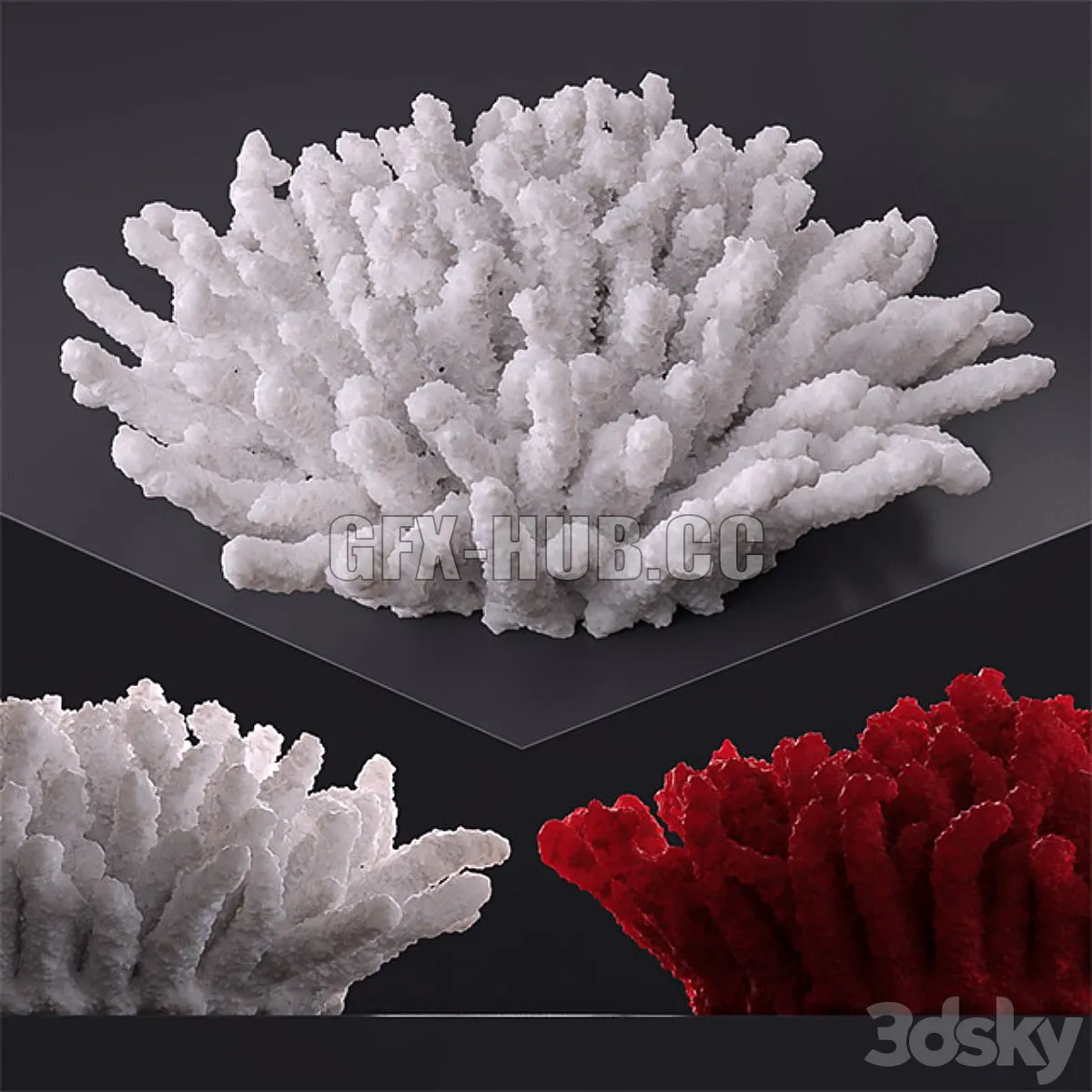 Decorative coral 3D Model Decorative coral 3D Model