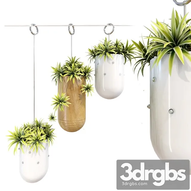 Decorative hanging metal planter set Decorative hanging metal planter set