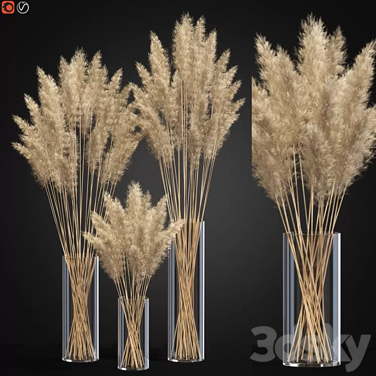 Decorative Pampas 3D Model Decorative Pampas 3D Model