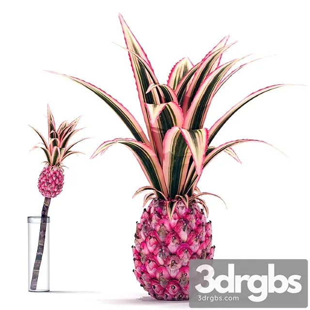 Decorative pink pineapple Decorative pink pineapple