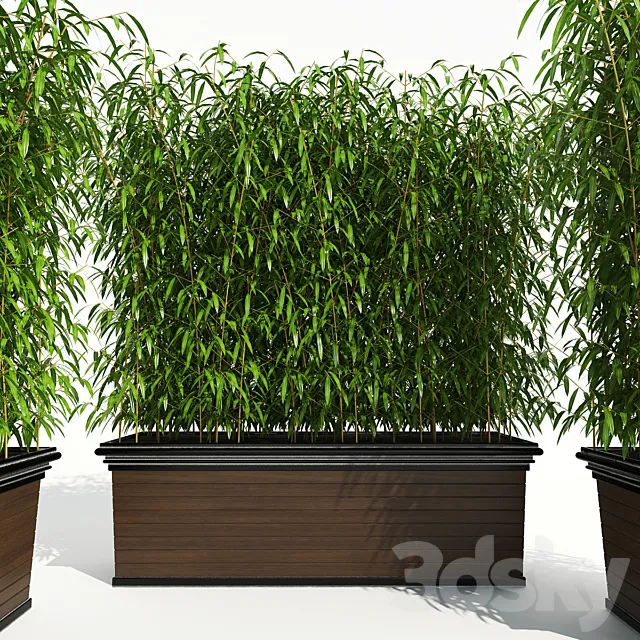 Decorative Plant 2 3D Model Decorative Plant 2 3D Model