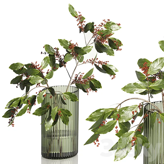 Decorative Plants 02 3D Model Decorative Plants 02 3D Model