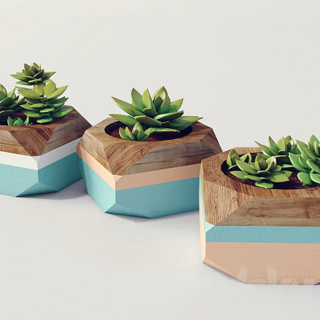 Decorative plants 3DModel Decorative plants 3DModel