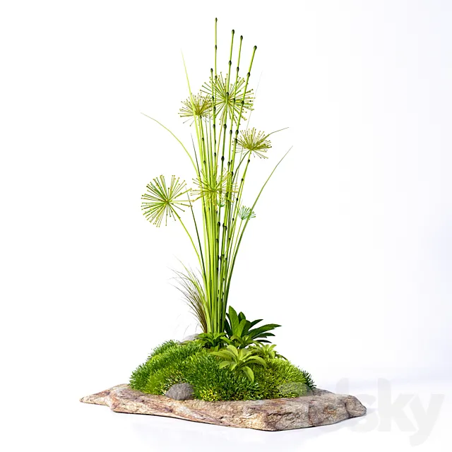 Decorative plants on a stone 3D Model Decorative plants on a stone 3D Model