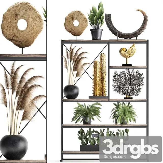 Decorative set 14. decor shelf tusk pampas grass dried flower coral cactus fern rack loft decor 3D Model Download Decorative set 14. decor shelf tusk pampas grass dried flower coral cactus fern rack loft decor 3D Model Download
