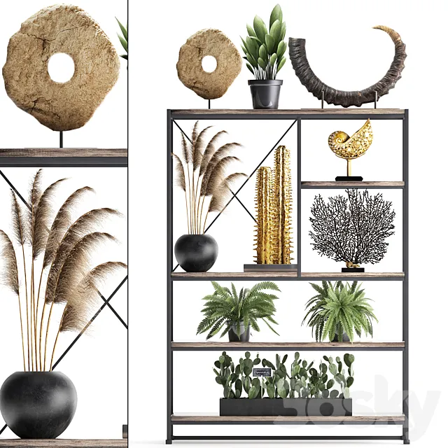 Decorative set 14. Decor shelf. tusk. pampas grass. dried flower. coral. cactus. fern. rack. loft decor 3DModel