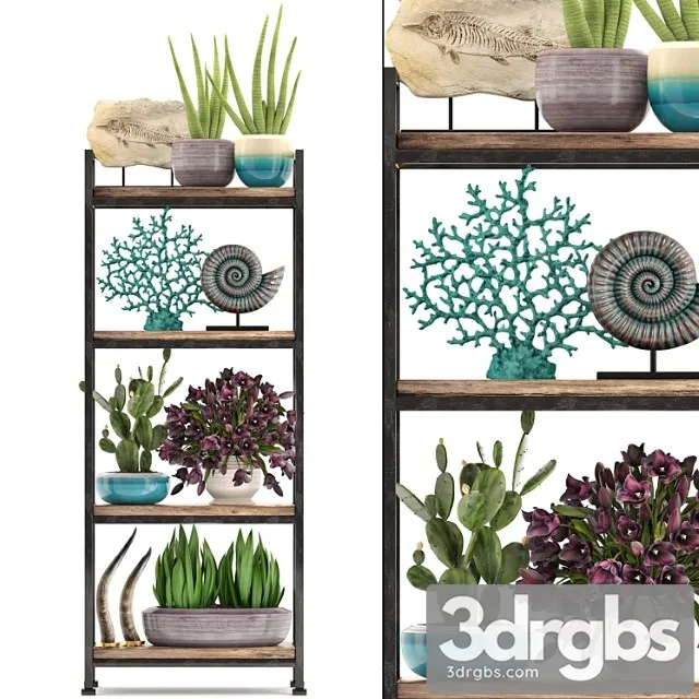 Decorative set. 7th. shelf decor coral tulips shelf with flowers horn 3D Model Download Decorative set. 7th. shelf decor coral tulips shelf with flowers horn 3D Model Download
