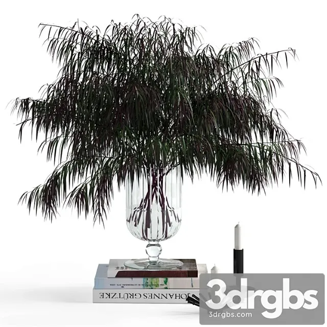 Decorative set Agonis and candles 3D Model Download Decorative set Agonis and candles 3D Model Download