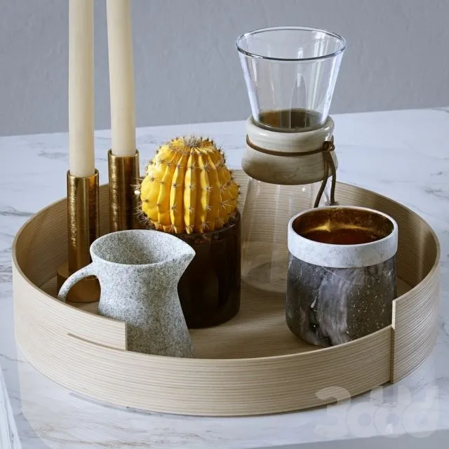 Decorative set cactus tray 3D Model