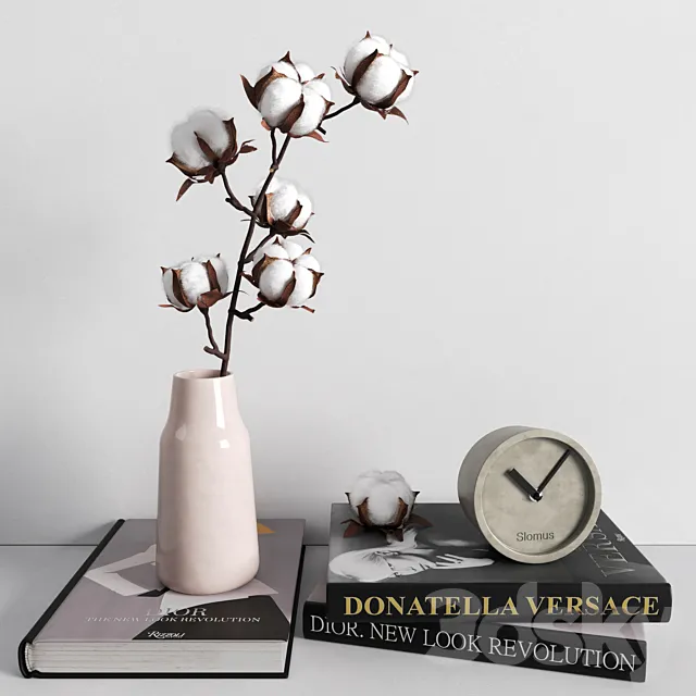 Decorative set cotton branch 3D Model
