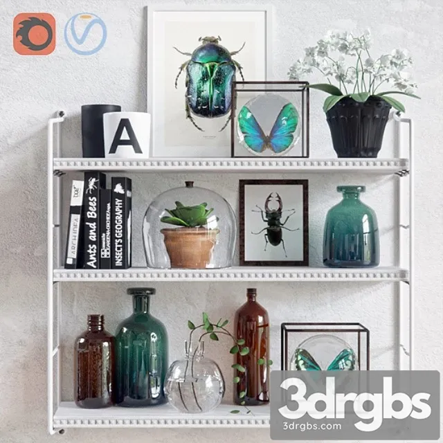 Decorative set Insects 3D Model Download Decorative set Insects 3D Model Download