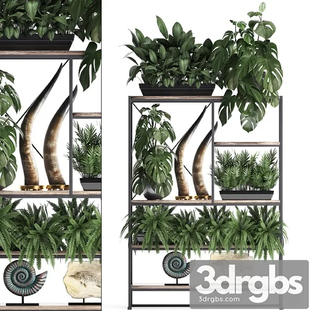 Decorative set modern wooden shelf with flowers in pots with monstera fern tusk ammonite statuette. 10 3D Model Download Decorative set modern wooden shelf with flowers in pots with monstera fern tusk ammonite statuette. 10 3D Model Download