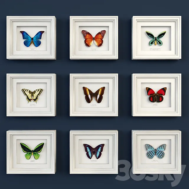 Decorative set of butterflies 3DModel Decorative set of butterflies 3DModel