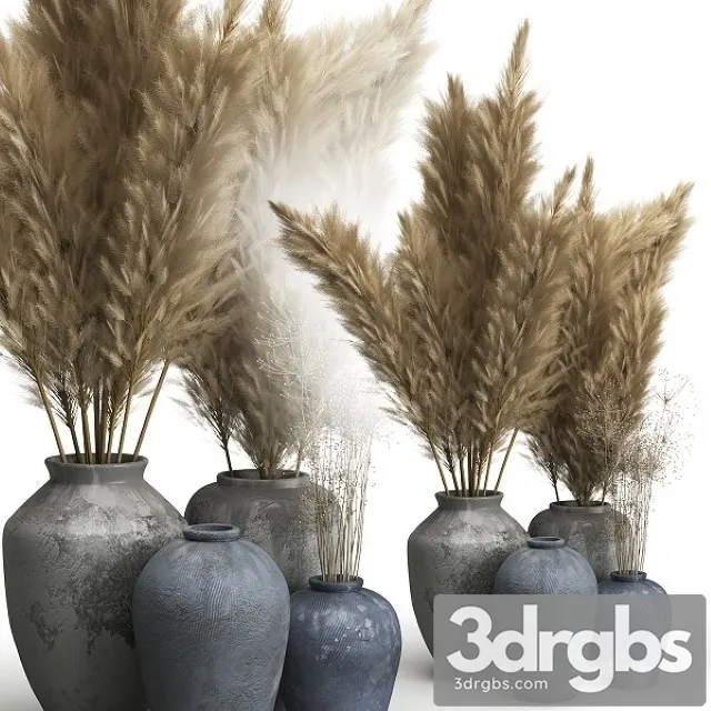 Decorative Set of Clay Vases and Pampas Grass 3D Model Download Decorative Set of Clay Vases and Pampas Grass 3D Model Download