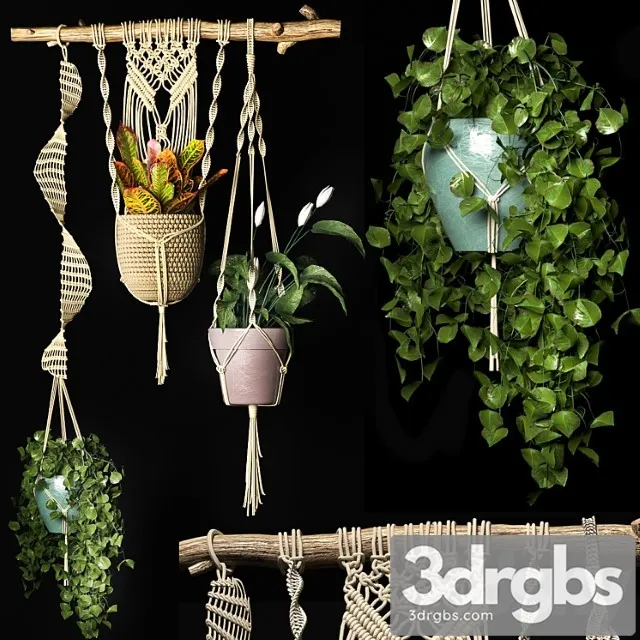 Decorative set of hanging pots 2 Decorative set of hanging pots 2
