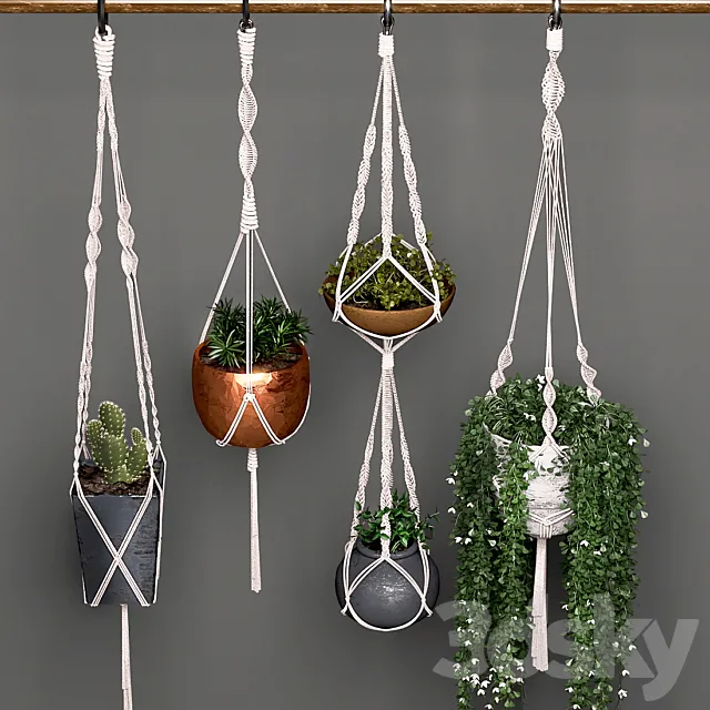 Decorative set of hanging pots 3D Model Decorative set of hanging pots 3D Model