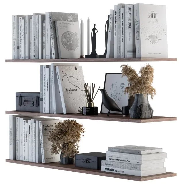 Decorative Set on Shelves White book and Dried Plants 3D Model