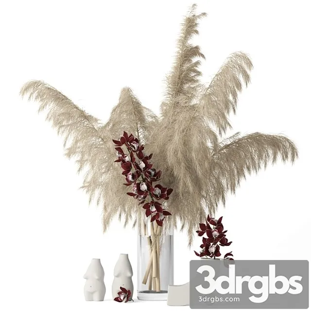 Decorative set Pampas grass and cymbidium 3D Model Download Decorative set Pampas grass and cymbidium 3D Model Download