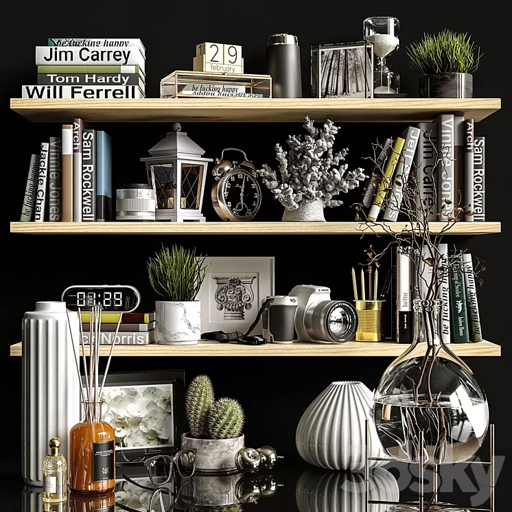 Decorative set shelves 2 3D Model