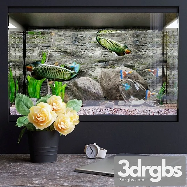 Decorative set with aquarium 3D Model Download Decorative set with aquarium 3D Model Download