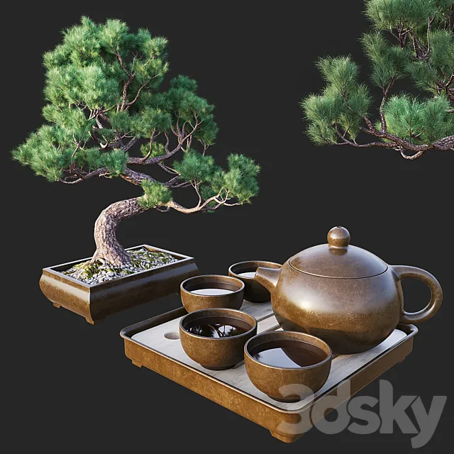 Decorative set with bonsai 3D Model Decorative set with bonsai 3D Model