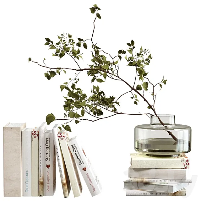 Decorative set with books 3D Model