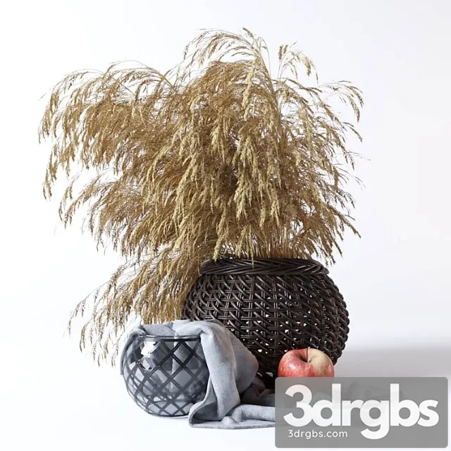 Decorative set with dried flowers