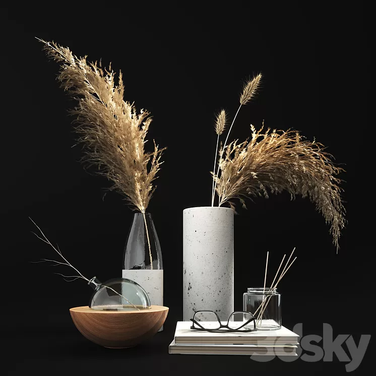 Decorative set with dry plants 01 3D Model